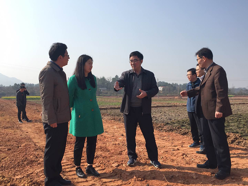 201902011.jpg 201902011.jpg