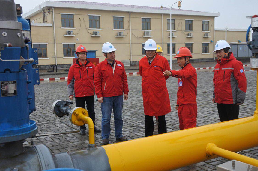 201902116.jpg 201902116.jpg